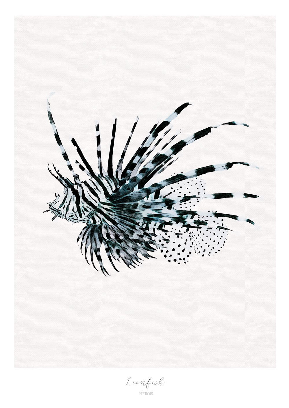 Marine Life Series - Lionfish