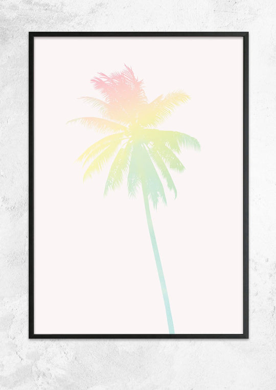 Rainbow Palm
