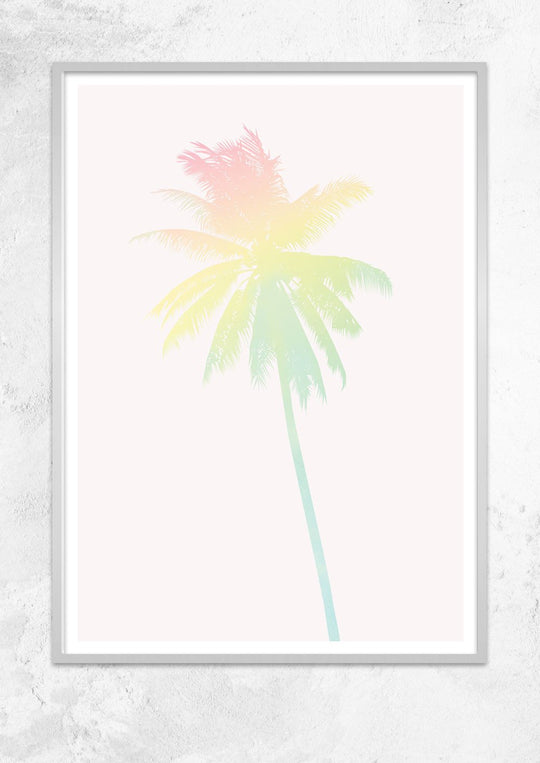 Rainbow Palm